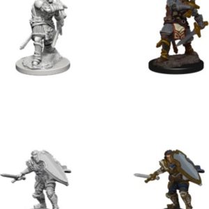 D&D Unpainted Mini Human Male Paladin