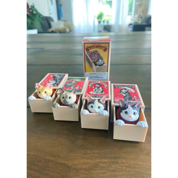 Cat Peek Matchbox Blind Box