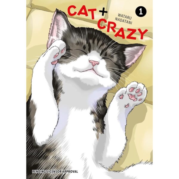 Cat + Crazy Vol 1