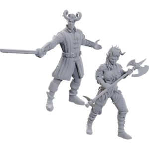 D&D Unpainted Mini Special Edition Baldur's Gate Wyll & Karlack