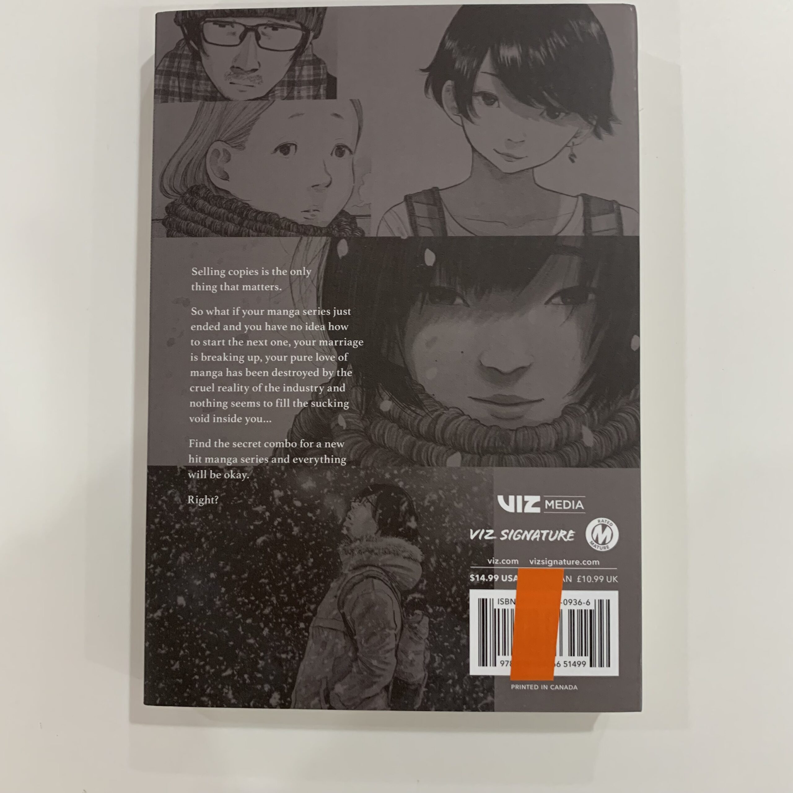 Downfall manga used - Image 2