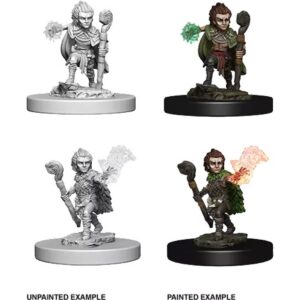 Pathfinder Unpainted Mini Gnome Male Druid